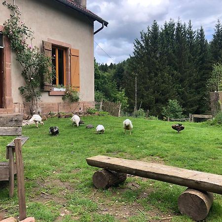 A L'Oree De Soi - Maison Forestiere De La Soie - Eco Gite, Chambres D'Hotes, Camping Au Pied Des Vosges Saint-Sauveur  Dış mekan fotoğraf