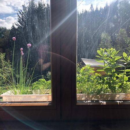 A L'Oree De Soi - Maison Forestiere De La Soie - Eco Gite, Chambres D'Hotes, Camping Au Pied Des Vosges Saint-Sauveur  Dış mekan fotoğraf