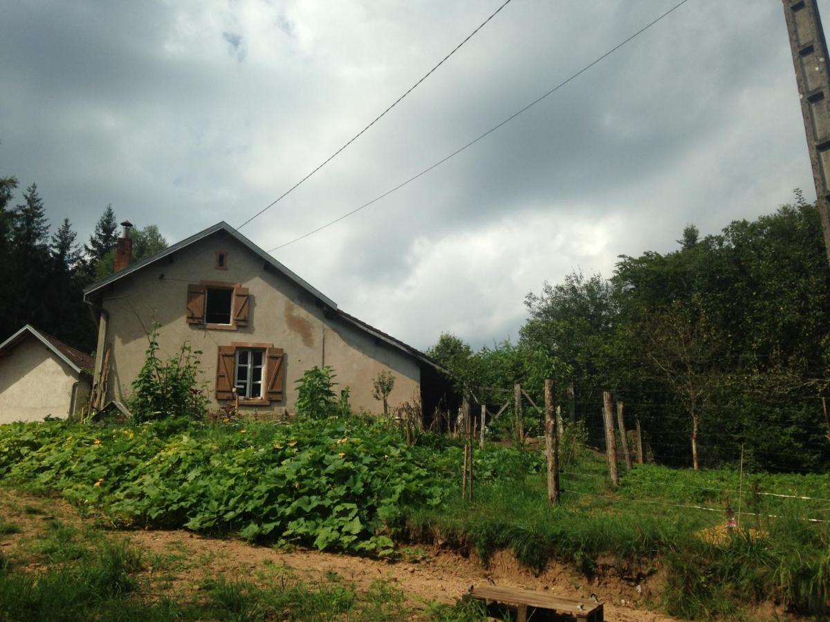 A L'Oree De Soi - Maison Forestiere De La Soie - Eco Gite, Chambres D'Hotes, Camping Au Pied Des Vosges Saint-Sauveur  Dış mekan fotoğraf