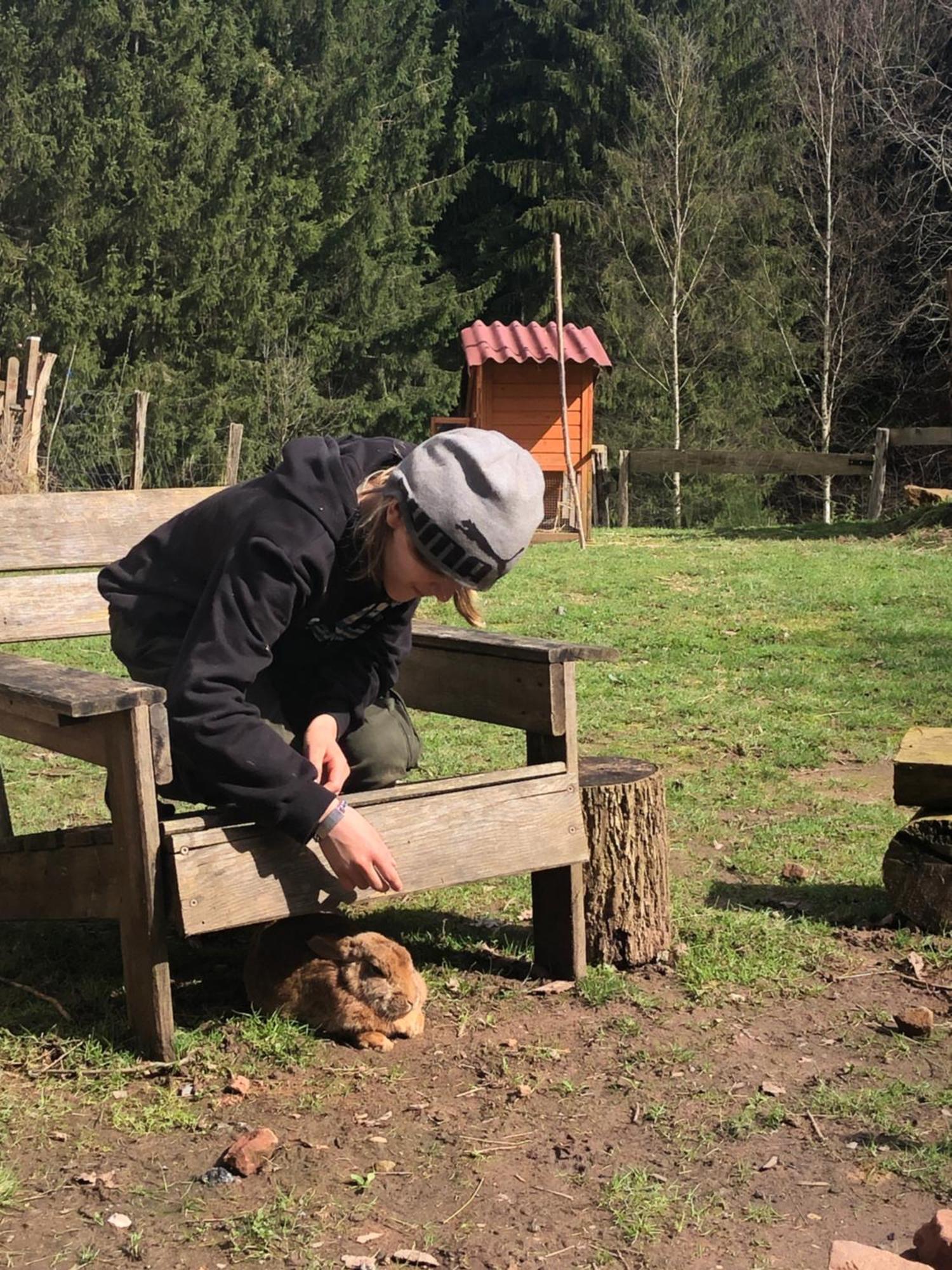 A L'Oree De Soi - Maison Forestiere De La Soie - Eco Gite, Chambres D'Hotes, Camping Au Pied Des Vosges Saint-Sauveur  Dış mekan fotoğraf