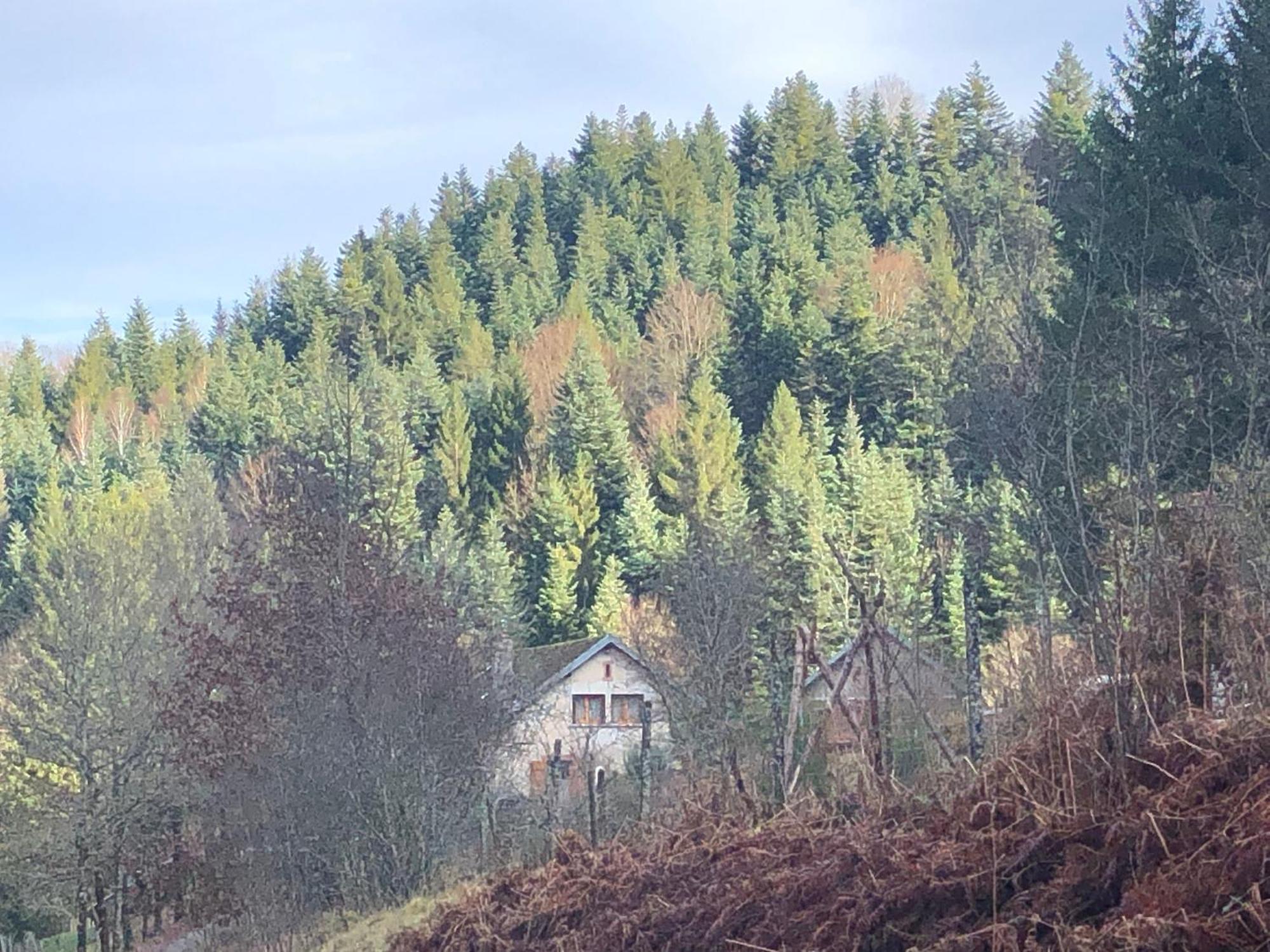 A L'Oree De Soi - Maison Forestiere De La Soie - Eco Gite, Chambres D'Hotes, Camping Au Pied Des Vosges Saint-Sauveur  Dış mekan fotoğraf