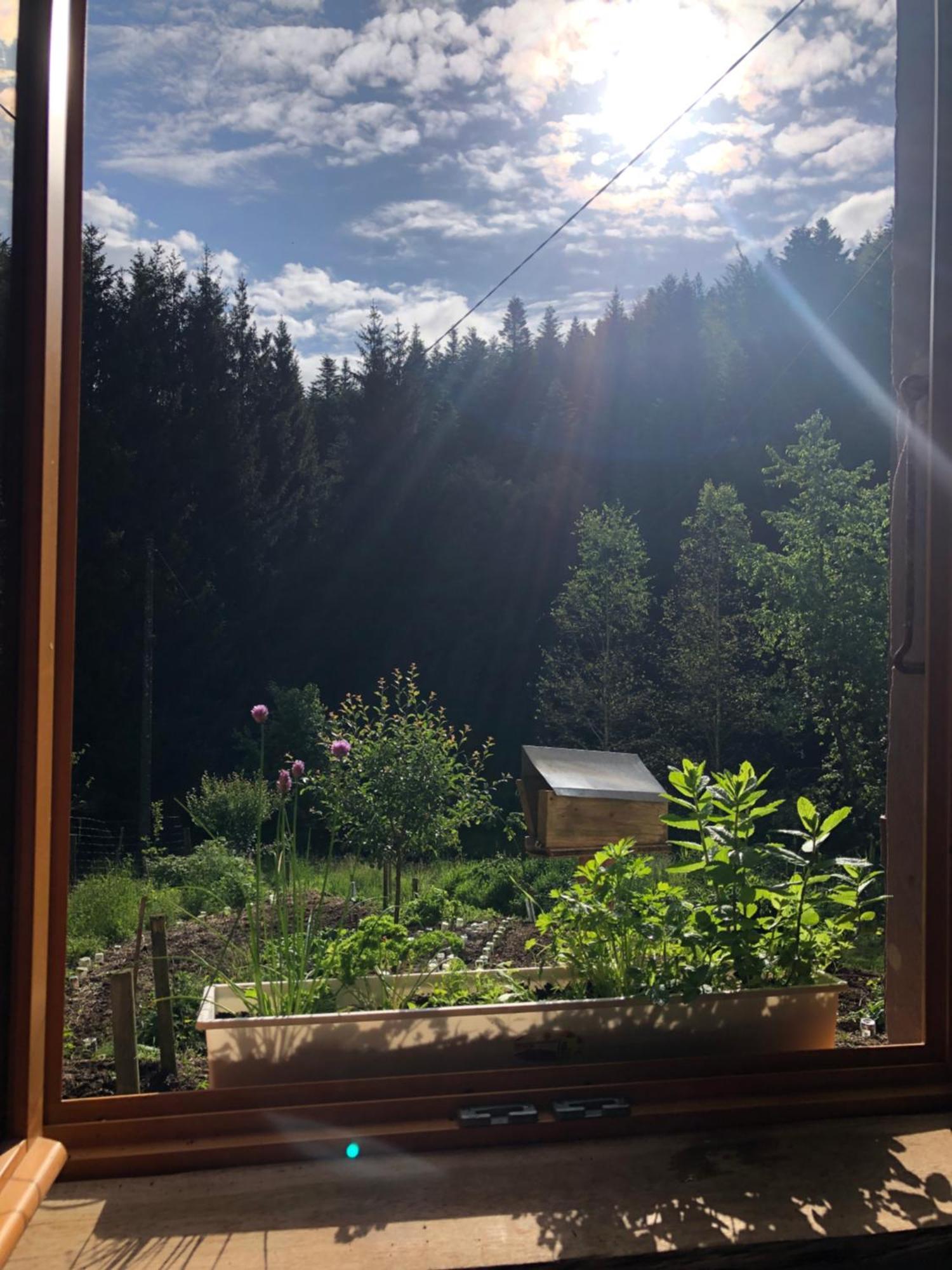 A L'Oree De Soi - Maison Forestiere De La Soie - Eco Gite, Chambres D'Hotes, Camping Au Pied Des Vosges Saint-Sauveur  Dış mekan fotoğraf