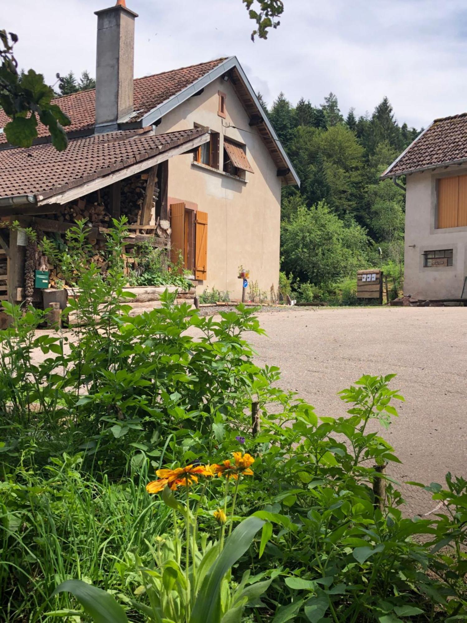 A L'Oree De Soi - Maison Forestiere De La Soie - Eco Gite, Chambres D'Hotes, Camping Au Pied Des Vosges Saint-Sauveur  Dış mekan fotoğraf