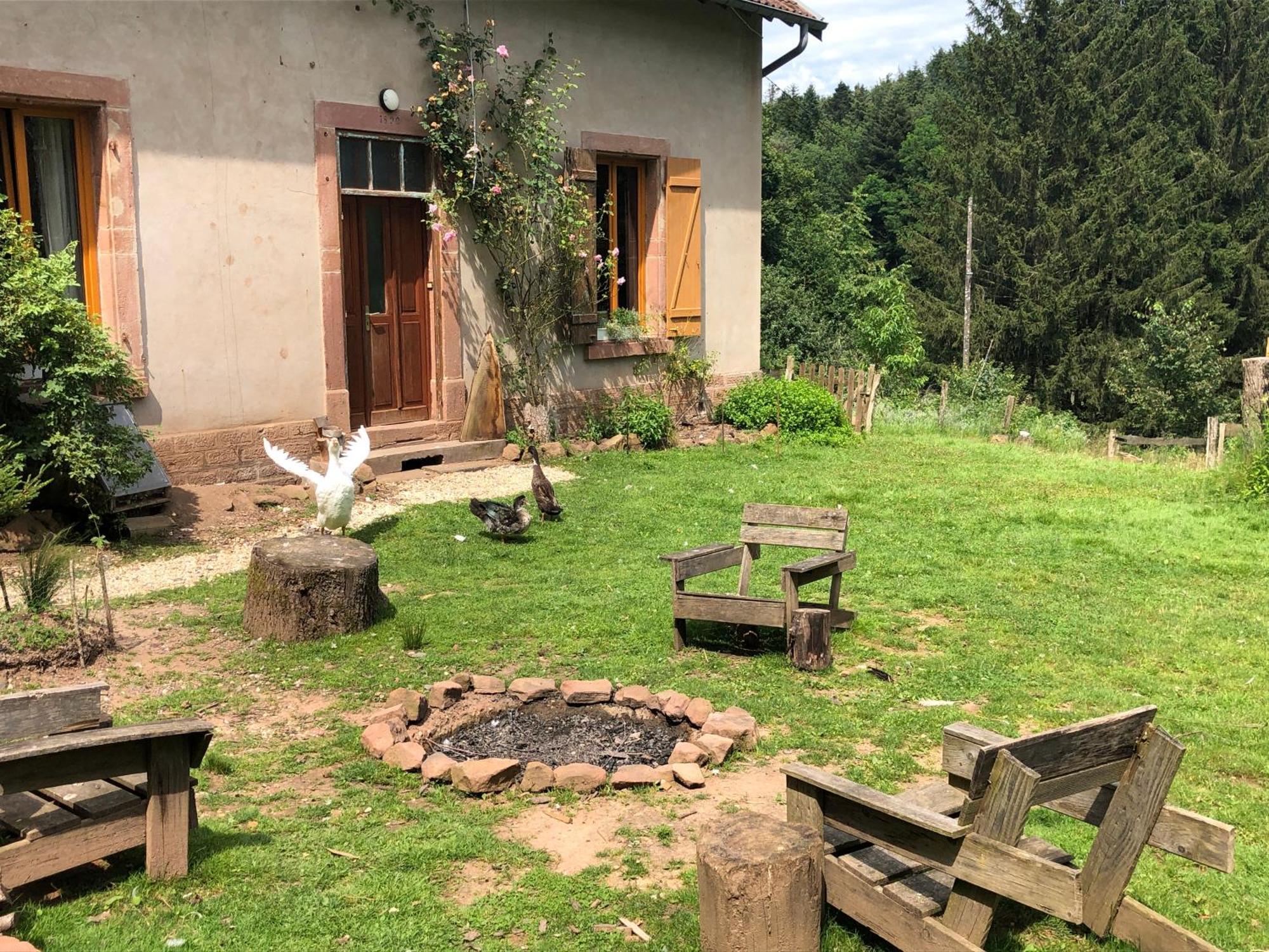 A L'Oree De Soi - Maison Forestiere De La Soie - Eco Gite, Chambres D'Hotes, Camping Au Pied Des Vosges Saint-Sauveur  Dış mekan fotoğraf