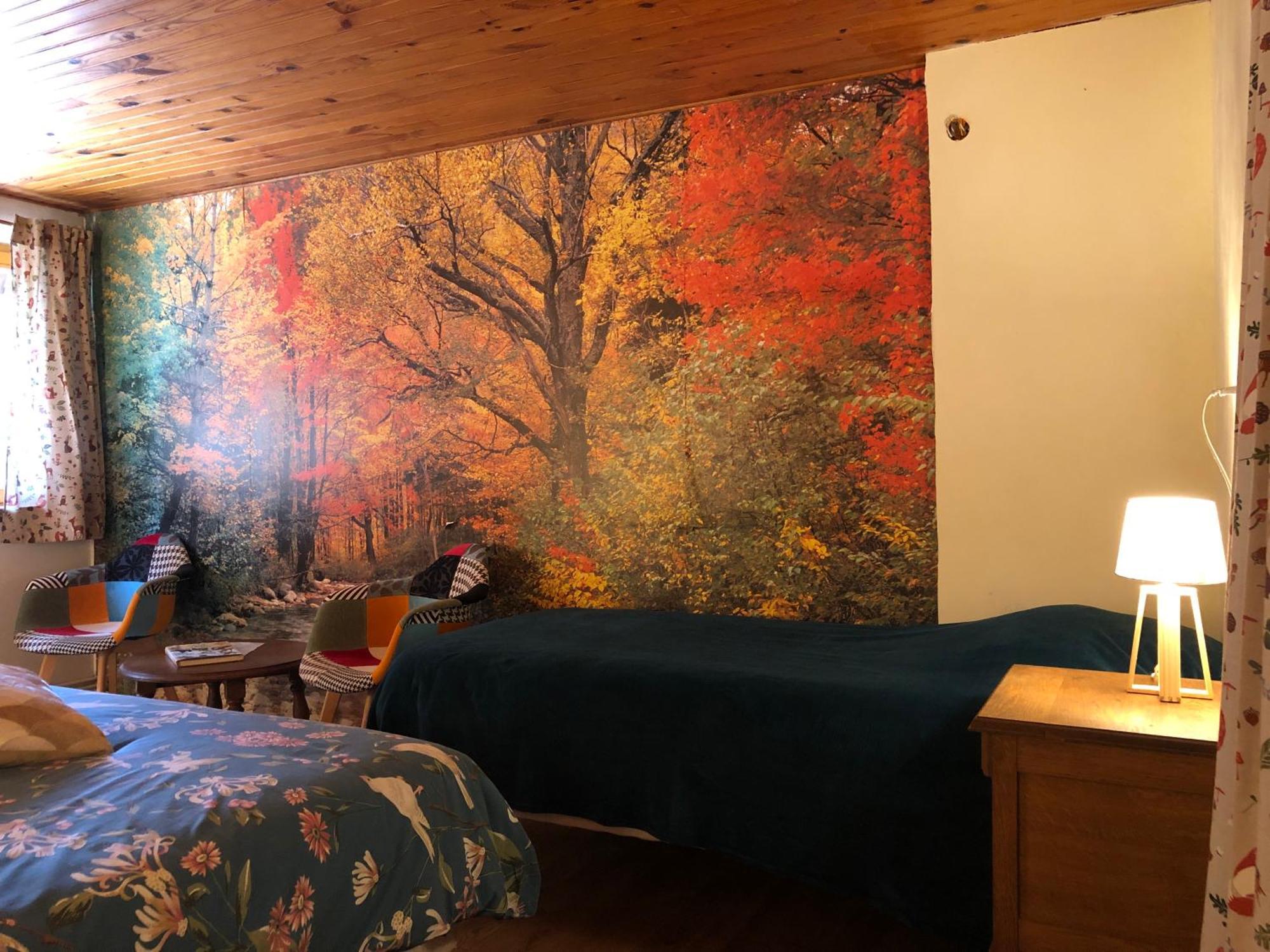 A L'Oree De Soi - Maison Forestiere De La Soie - Eco Gite, Chambres D'Hotes, Camping Au Pied Des Vosges Saint-Sauveur  Dış mekan fotoğraf