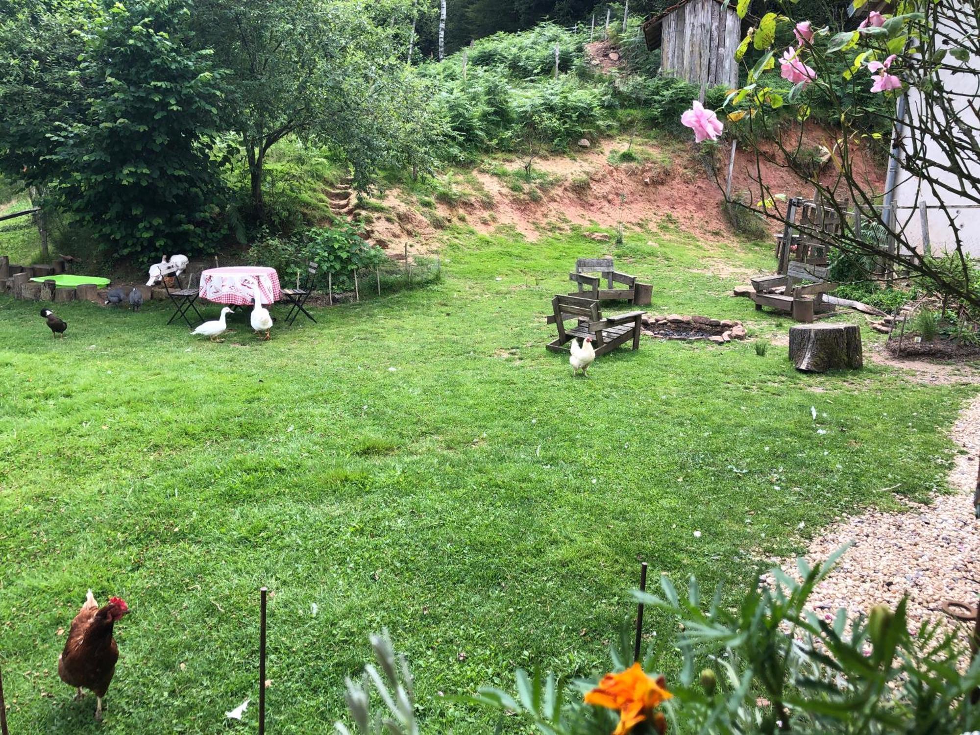 A L'Oree De Soi - Maison Forestiere De La Soie - Eco Gite, Chambres D'Hotes, Camping Au Pied Des Vosges Saint-Sauveur  Dış mekan fotoğraf